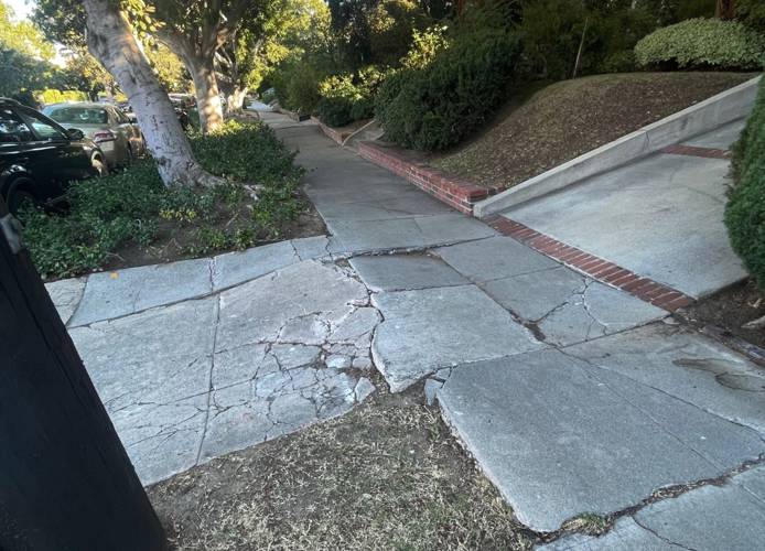 Sidewalk Repair